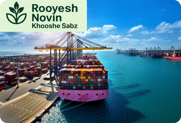 Direct export of dried fruit and medicinal herbs