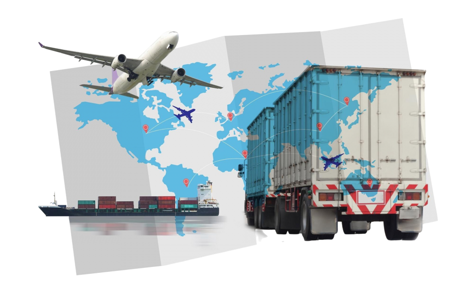 Direct export of dried fruit and medicinal herbs