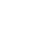 Wholesale & Bulk Sales