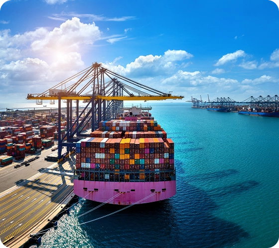  Exportation spécialisée de fruits secs et de plantes médicinales d\\\'Iran