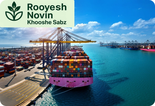 À propos de la nouvelle croissance